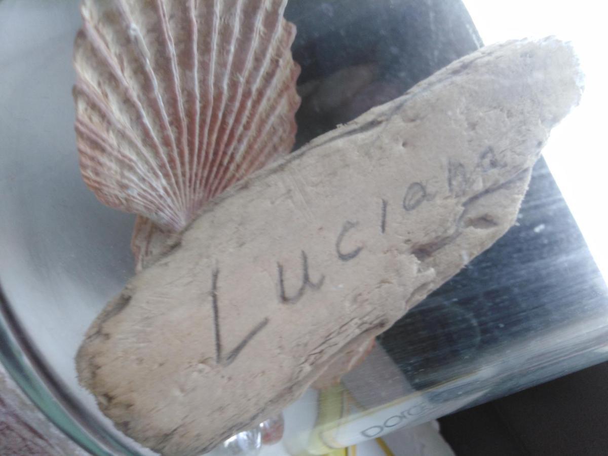 ザダルLucianaアパートメント エクステリア 写真
